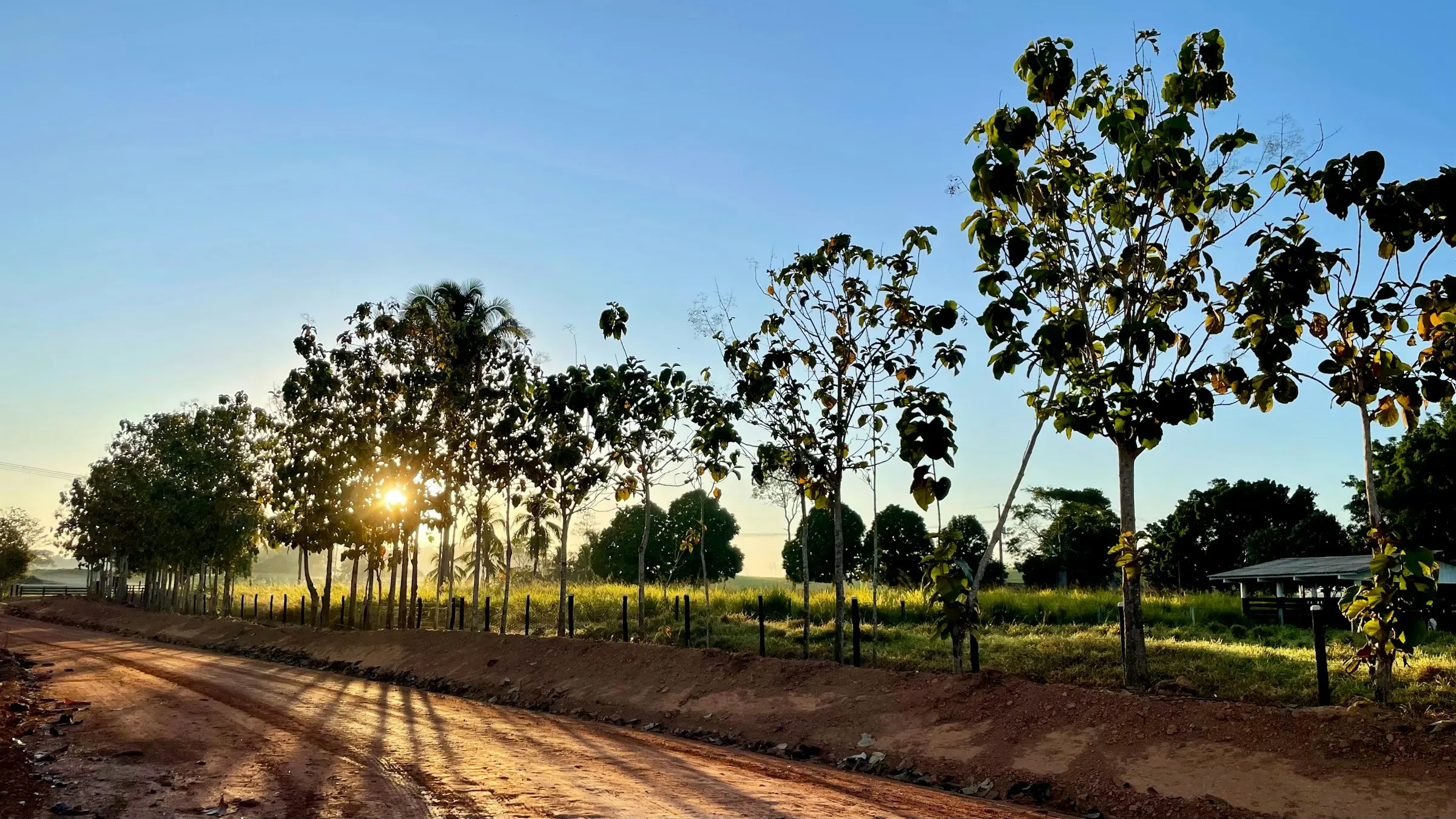 Estrada de terra vermelha entre árvores no interior paulista